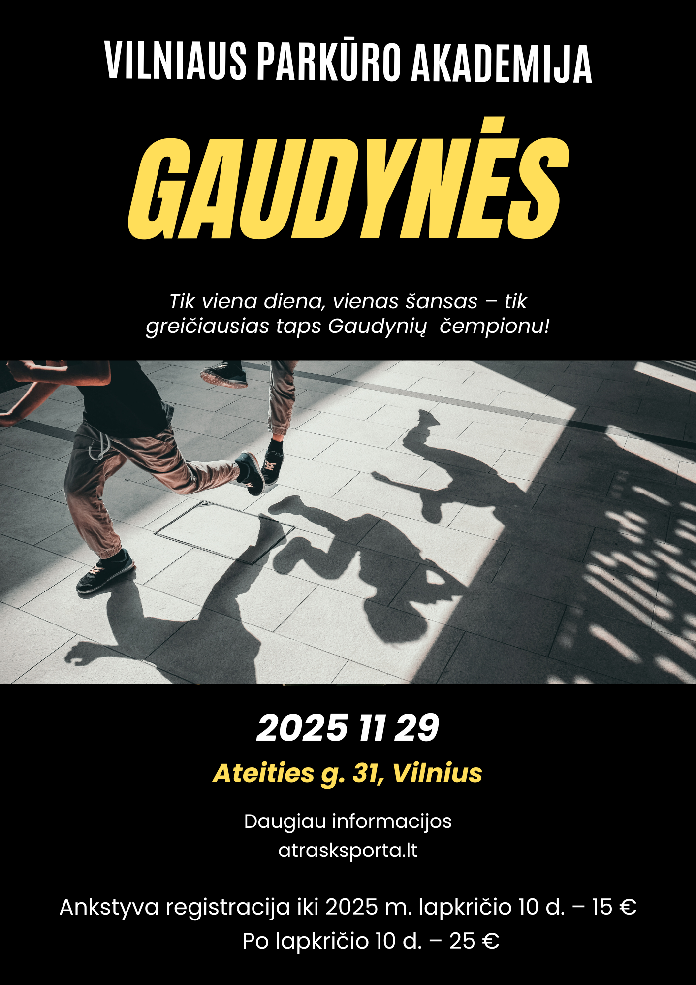 Vilniaus parkūro akademija